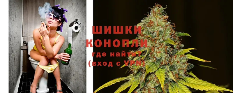 где купить наркоту  Новошахтинск  Канабис Bruce Banner 